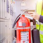 Wildfire Risk Reduction